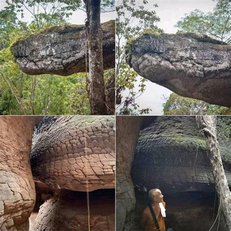 cave in thailand that looks like a snake|This Giant Snake Rock in Thailand Is a Fascination of。